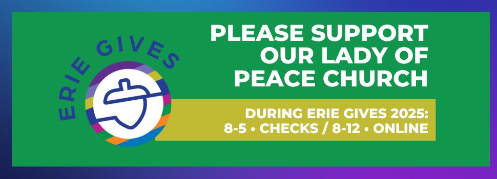 Transform a non-profit this Erie Gives.