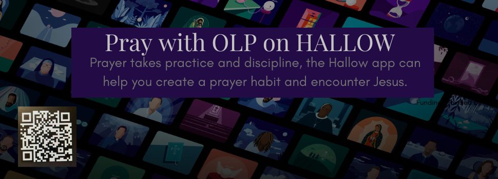 Join our parish page today in the app!